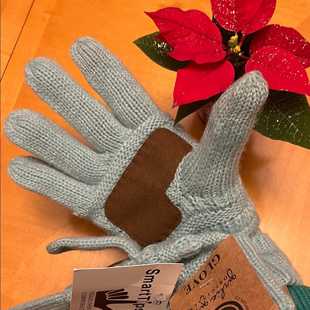 NWT Girlie Girl Touchscreen Compatible Knit Gloves Blue Gray